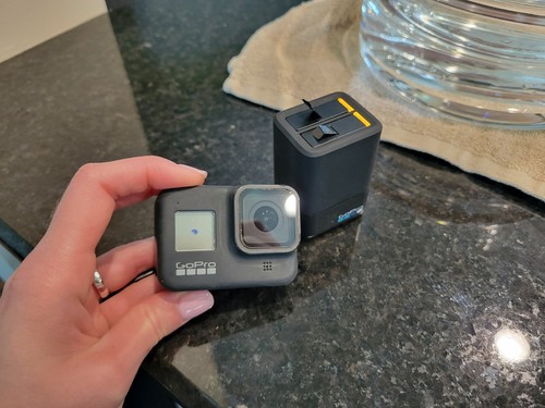 Gopro hero black includes - gopro,
